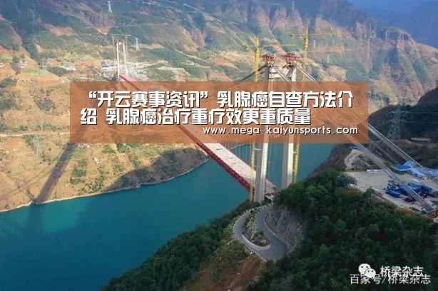 开云官方网站