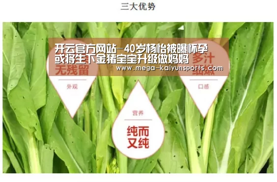 开云体育官网