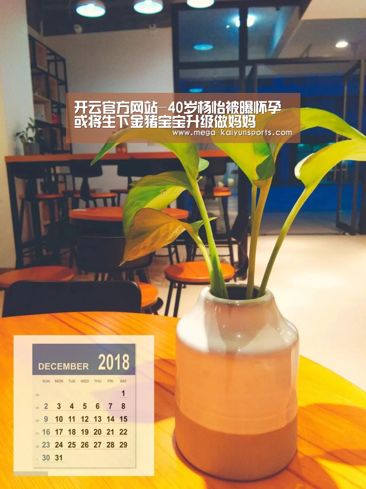 开云体育官方入口